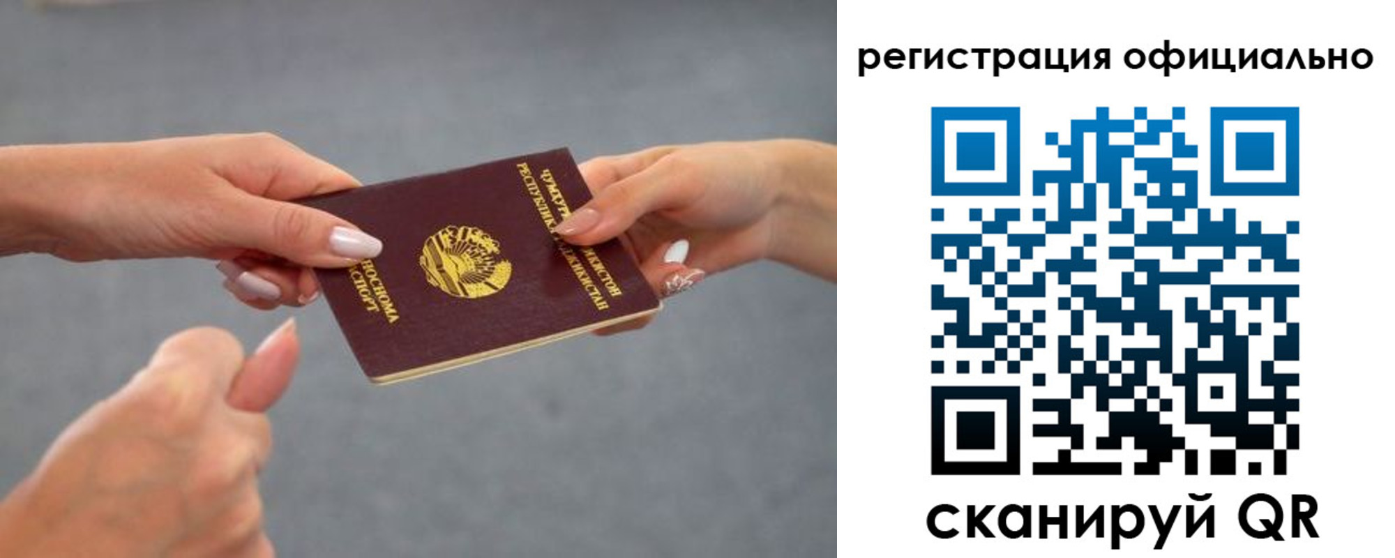 прописка поиск в Лузе